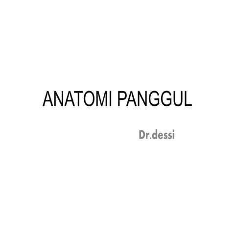 Anatomi panggul
