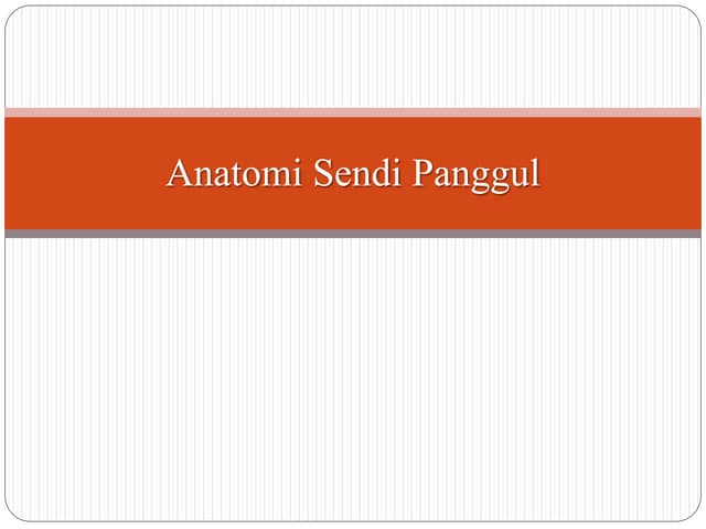 Anatomi sendi panggul