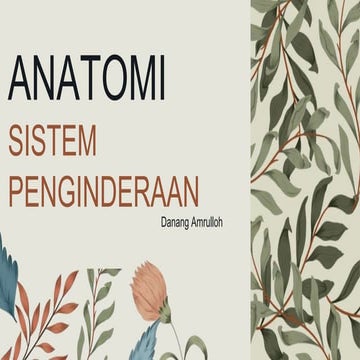 ANATOMI SISTEM PENGINDERAAN jdkejiekenejoekene | PPT