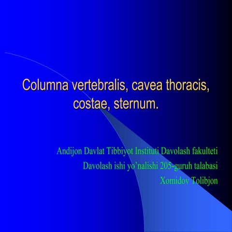 Plyajdagi qizlarning yalangoch fotosuratlari