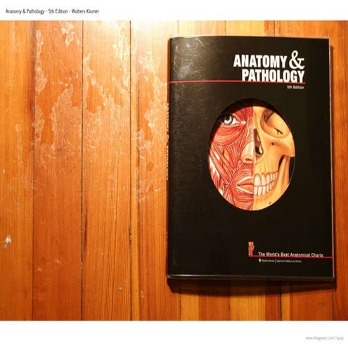 anatomy book