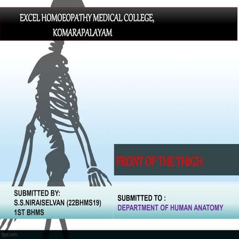 ANATOMY FRONT OF THIGH LOWER LIMB  .pptx