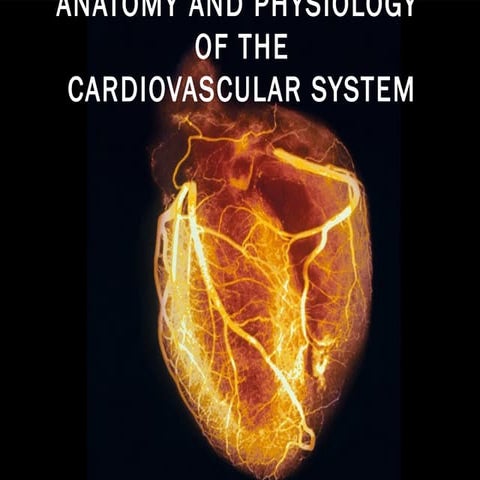 Anatomy and-physiology-of-the-cardiovascular-system-medical-surgical-nursing-ppt