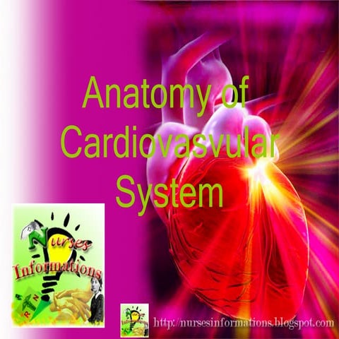 Anatomy Of Cardiovasvular System