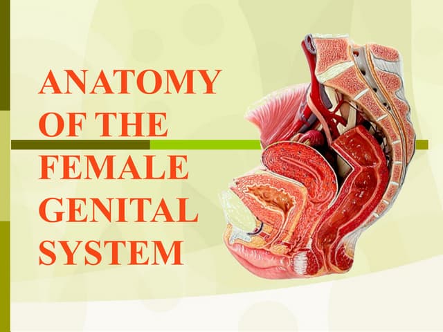 Anatomy of cervix | PPTX