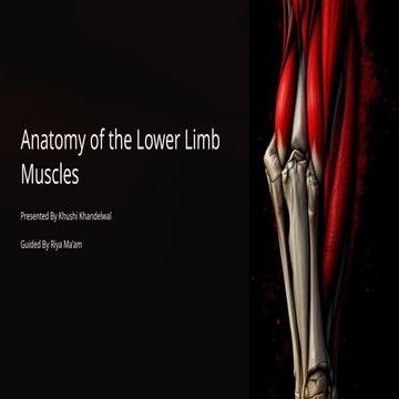 Nerves of the lower limb.ppt