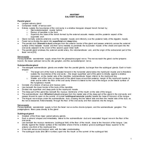 Anatomy salivary glands