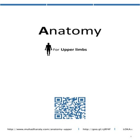 Anatomy   upper