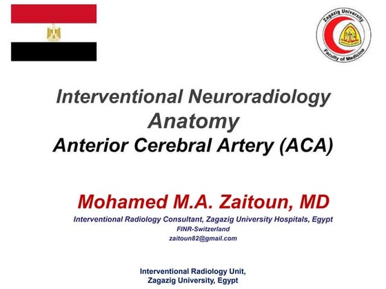 PHASES aneurysm rupture risk score | PPT