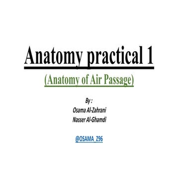 Anatomy (anatomy of air passage)