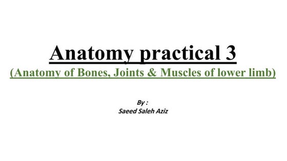 Anatomy and physiology of tibia and fibula tibia | DOC