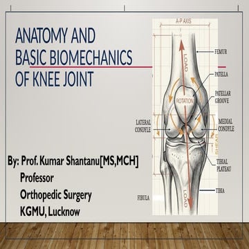 Comprehensive Anatomy and Biomechanics of the Human Knee Joint | PPTX