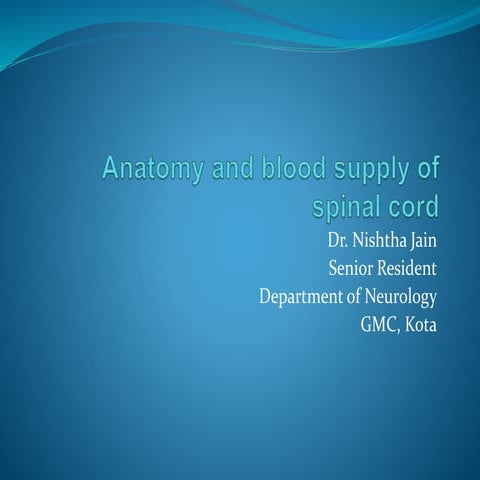 Anatomy and blood supply of spinal cord