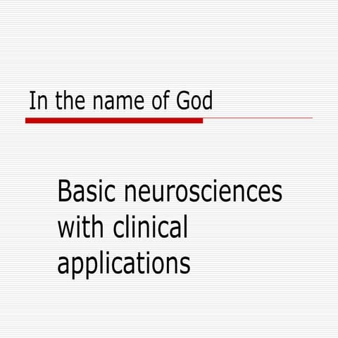 Anatomy And Connections Of Prefrontal Cortex