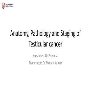 TESTICULAR CANCERS | PPTX