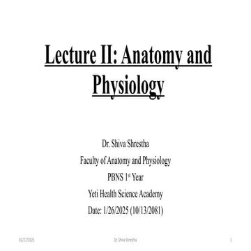 Body Cavites. Planes and Human Organization