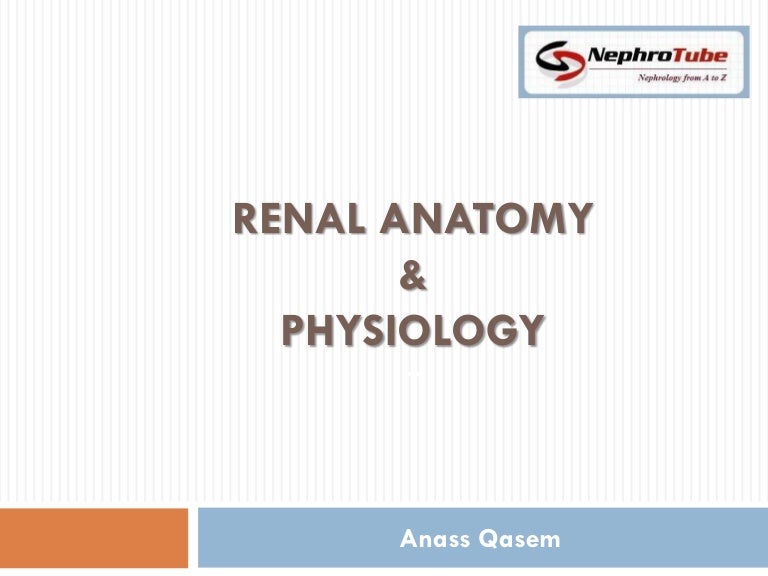 Anatomy and physiology
