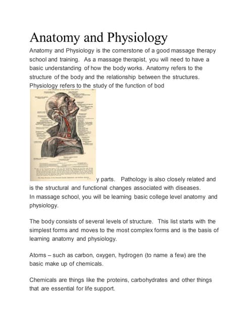 Anatomy and physiology