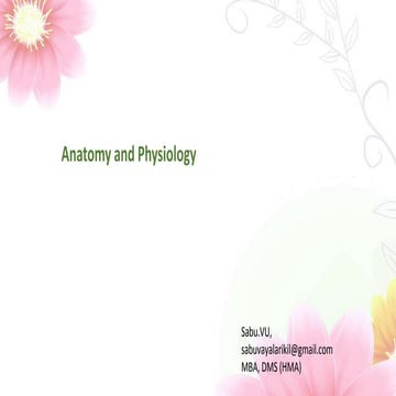 Anatomy and physiology