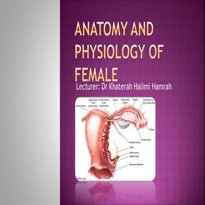 Anatomy and physiology of Femal reproductive system | PPTX