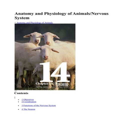 Anatomy and physiology of animals