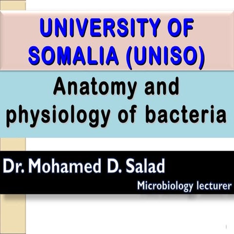 Anatomy and physiology of bacteria