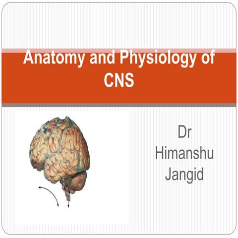 Anatomy and physiology of Central Nervous System