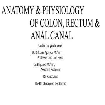 Colon and Rectum Surgical Anatomy and Physiology | PPTX