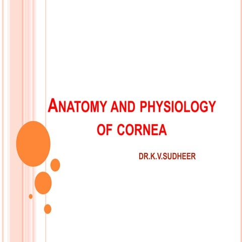 Anatomy and physiology of cornea