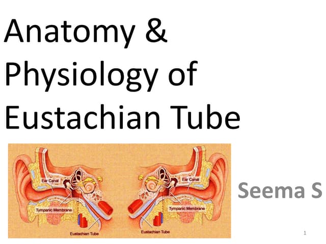 eustachian tube function tests.pptx | Ear, Nose and Throat Conditions ...
