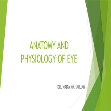 Comprehensive Overview of Eye Anatomy, Physiology, and Refractive ...
