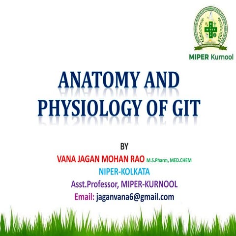 Anatomy and physiology of git
