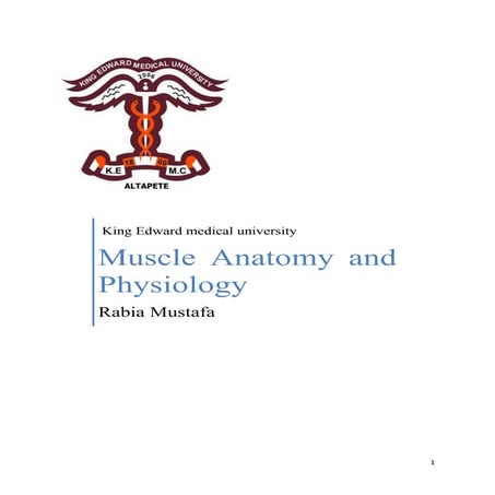 Anatomy and physiology of muscle