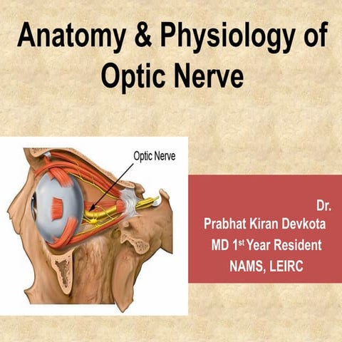 Anatomy and Physiology of Optic Nerve Dr.Prabhat_78d818a0-c8b5-4cb0 ...