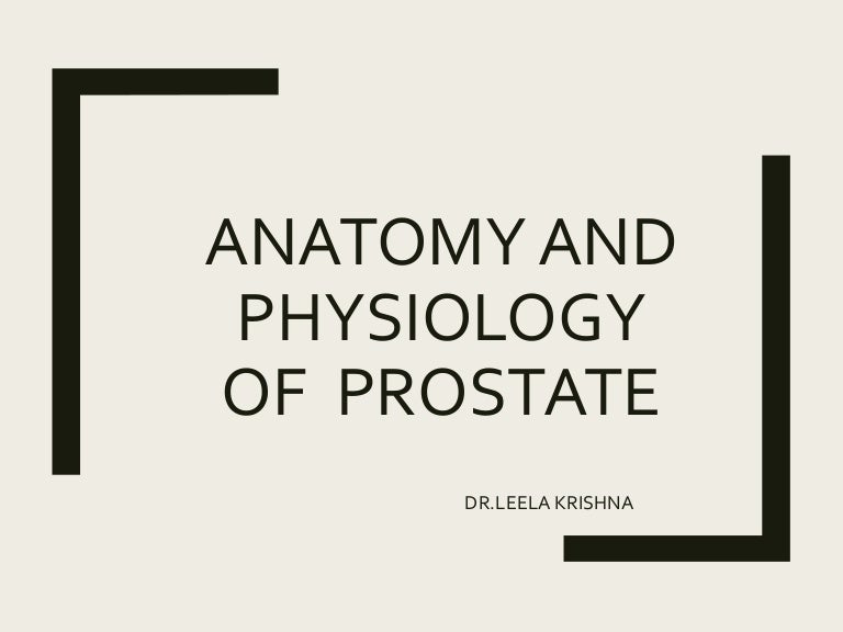 prostate anatomy slideshare