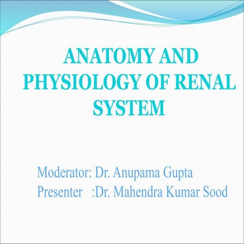 Anatomy and physiology of renal system.ppt