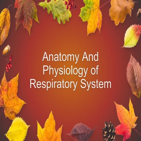 Anatomy and physiology of respiratory system