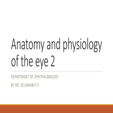 Anatomy And Physiology Of The Eye 2 Pptx