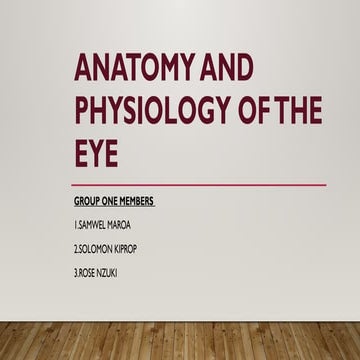 Anatomy and physiology of the eye | PPTX