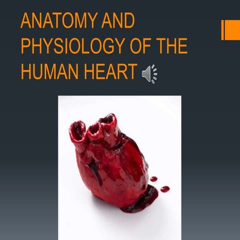 Anatomy and physiology of the heart by Adeboye Oluwajuyitan