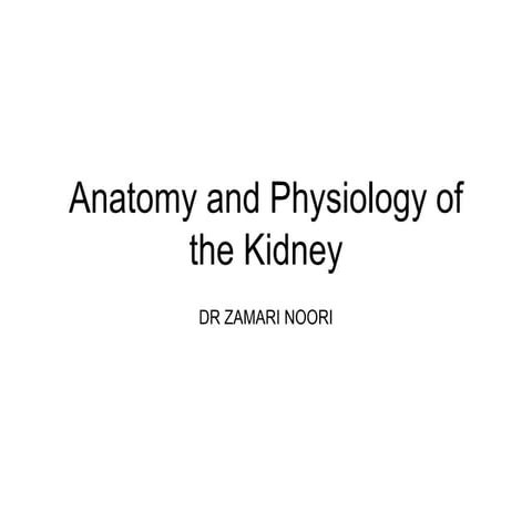 Anatomy and Physiology of the Kidney.ppt