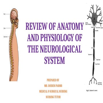 Anatomy and physiology of nervous system | PPTX