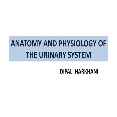 Anatomy and physiology of the Urinary system by Dipali Harkhani