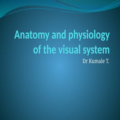 CLINICAL ANATOMY AND PHYSIOLOGY OF THE VISUAL SYSTEM 4TH EDITION PDF FREE visual data 3