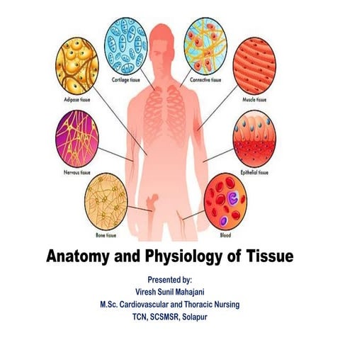 The tissue toolkit : Understanding the marvels of body's building blocks