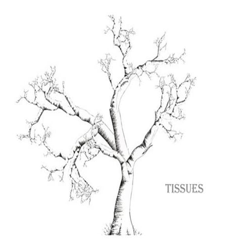 Anatomy and physiology ppt atrifact 4