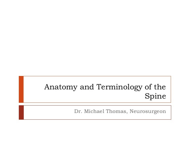 Anatomy and Terminology of the Spine