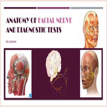 anatomy and tests of facial nerve -asps-1.pptx