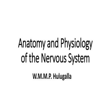 Anatomy and the Physiology  of the Nervous System (2).pptx