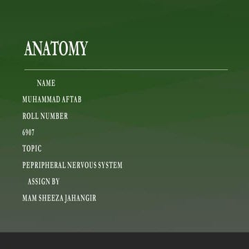 peripheral nervous system